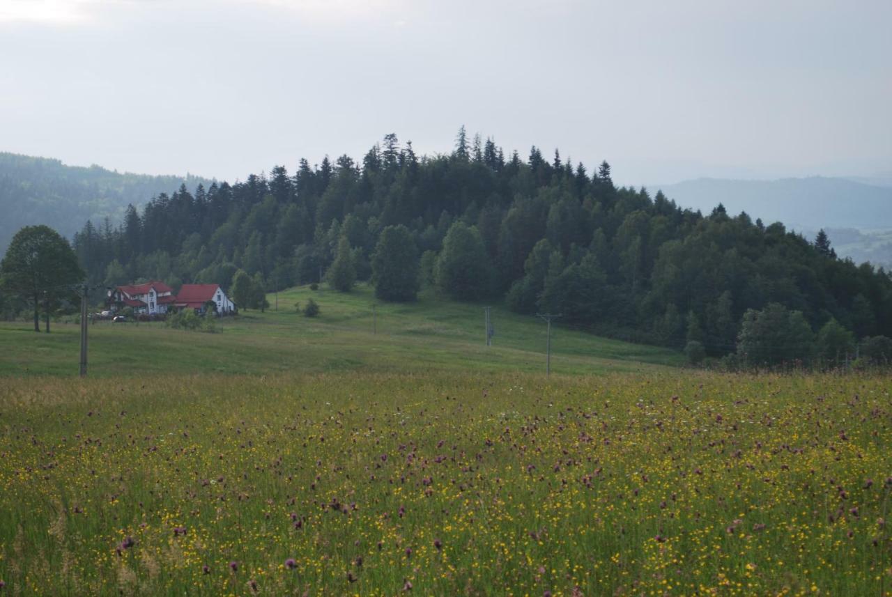 Apartamenty Widokowa Korbielów Exterior foto